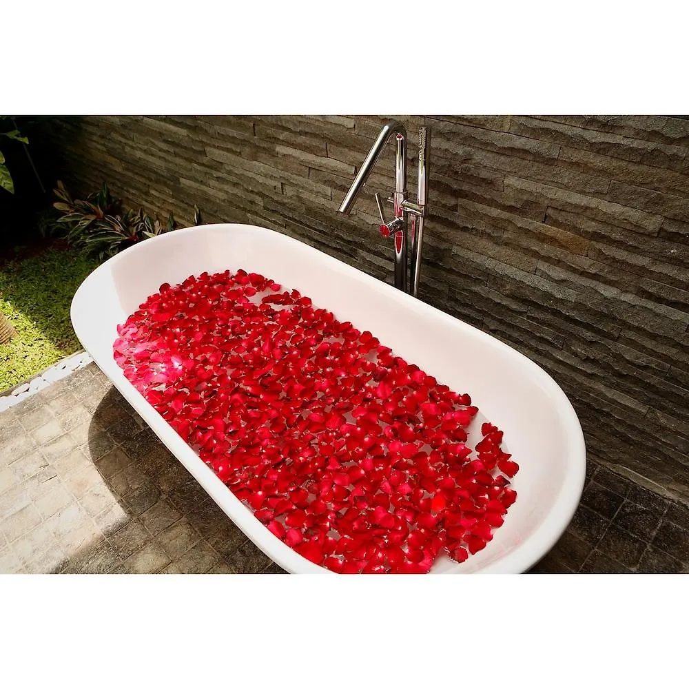 Del Cielo Villa Jimbaran מלון